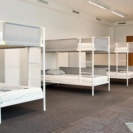 Mild Elephants * Bratislava