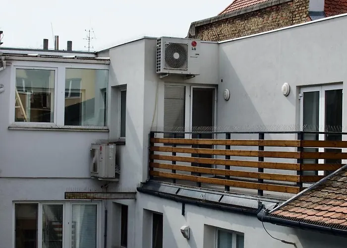 بيت شباب Mild Elephants *