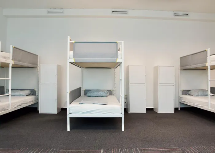 Mild Elephants Bratislava