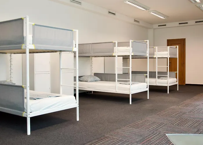 Mild Elephants * Bratislava