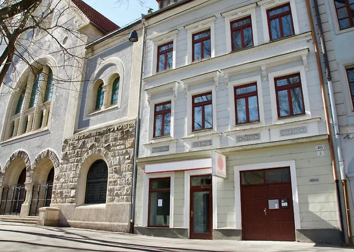 Mild Elephants Hostel Bratislava