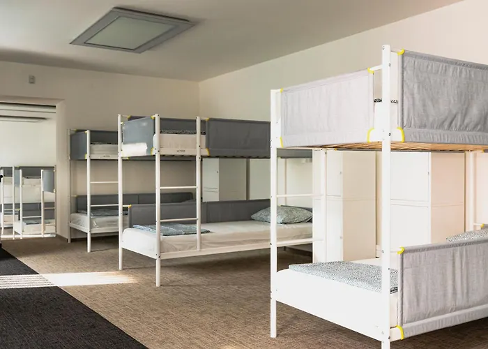 Mild Elephants Auberge de jeunesse